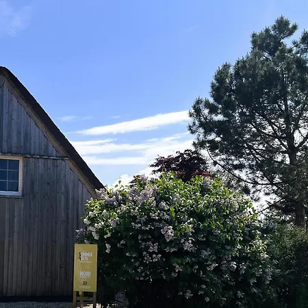 Daire Sommerhaus 54, Gartenhaus 